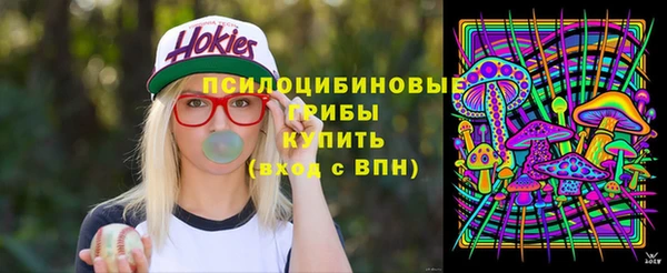 СК Абаза