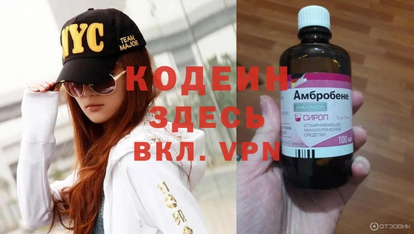 хмурый Алзамай